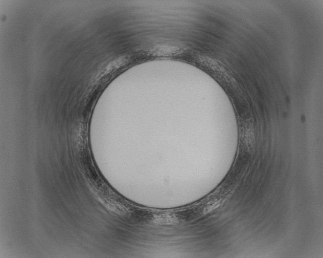 X0000062860591200602101629