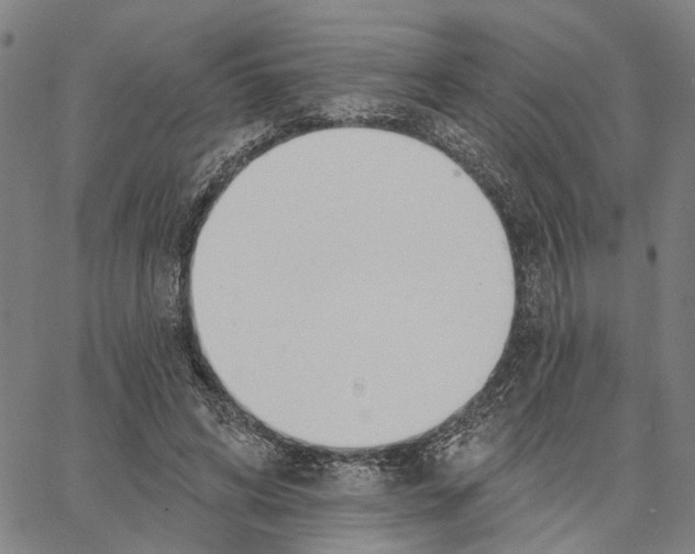 X0000062860592200602101629
