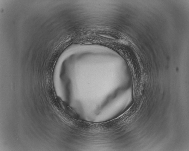 X0000062860593200602101629