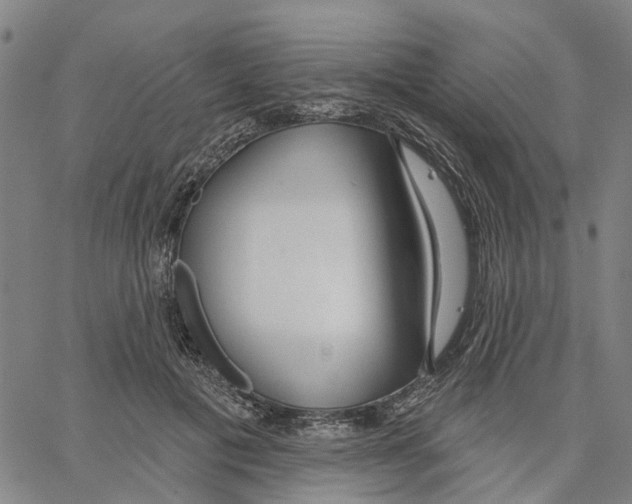 X0000062860601200602101628