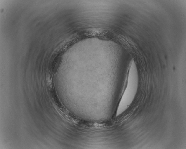 X0000062860607200602101628