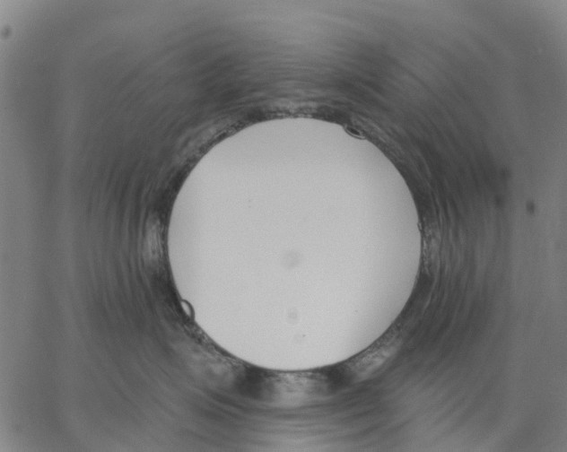 X0000062860623200602101628