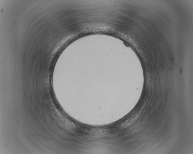 X0000062860629200602101627