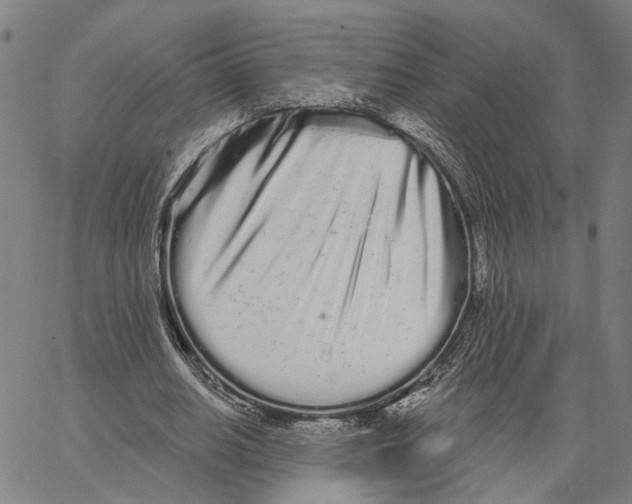 X0000062860630200602101627