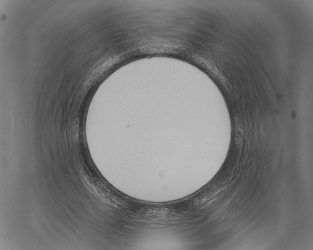 X0000062860631200602101627