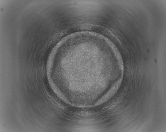 X0000062860641200602101628