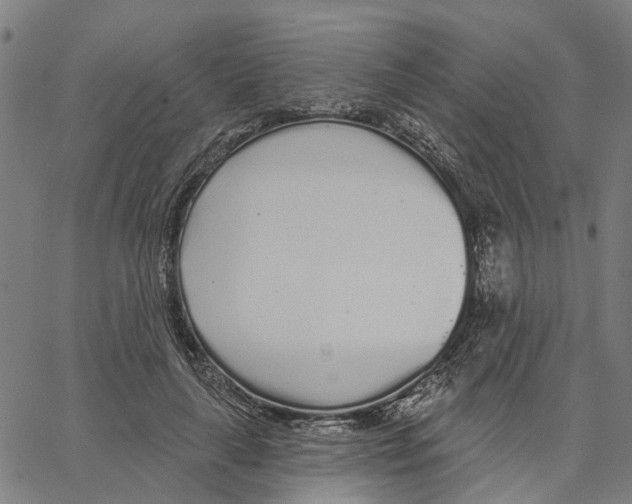 X0000062860643200602101628
