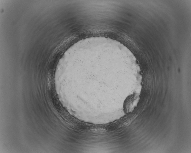 X0000062860644200602101628