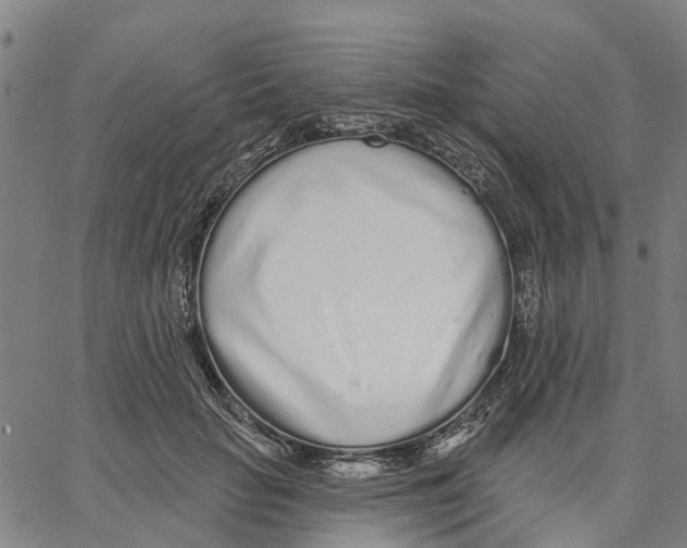 X0000062860653200602101628