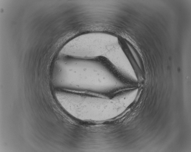 X0000062860673200602101627