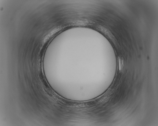 X0000062860675200602101627