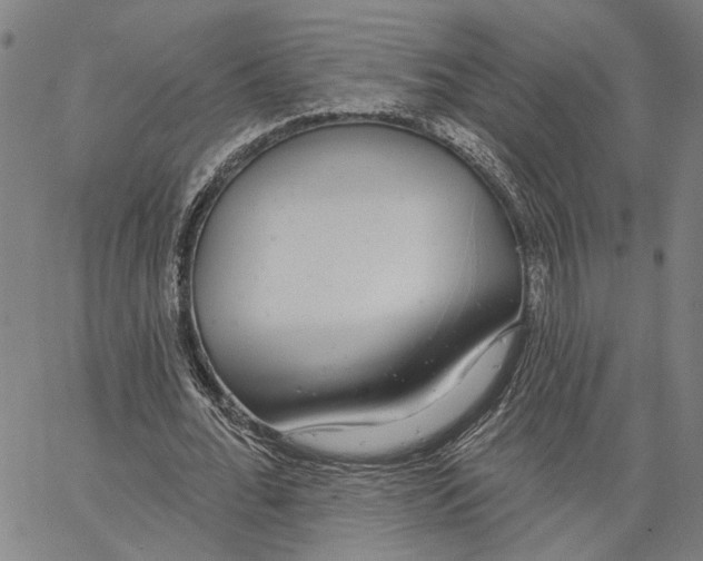 X0000062860676200602101627