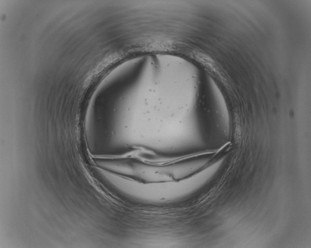 X0000062860677200602101627