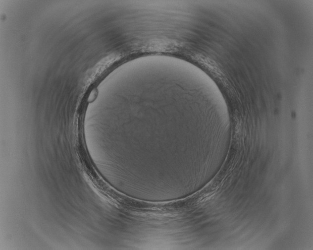 X0000062860678200602101627