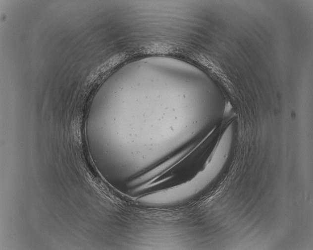 X0000062860681200602101627