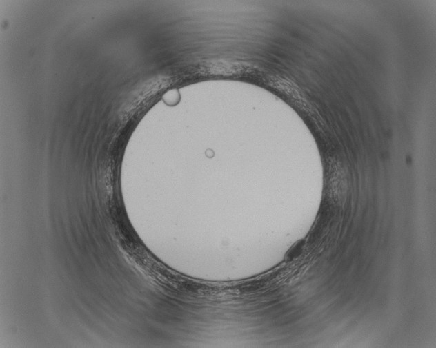 X0000062860683200602101627