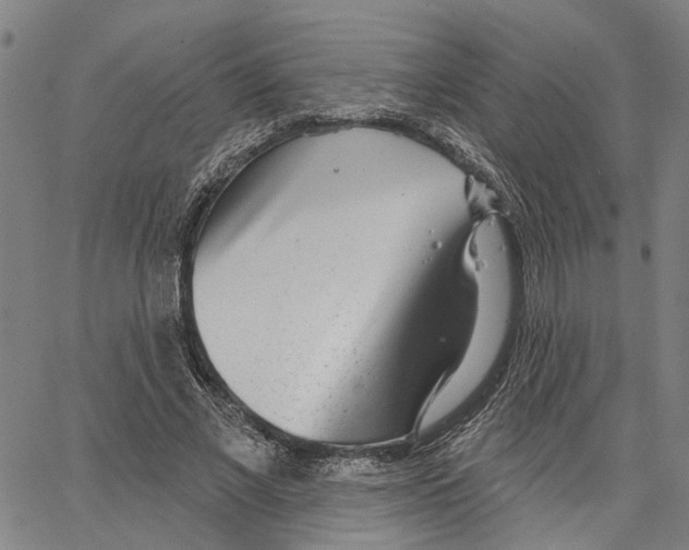 X0000062860685200602101627