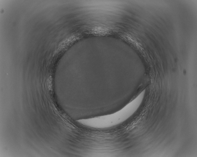 X0000062860689200602101627