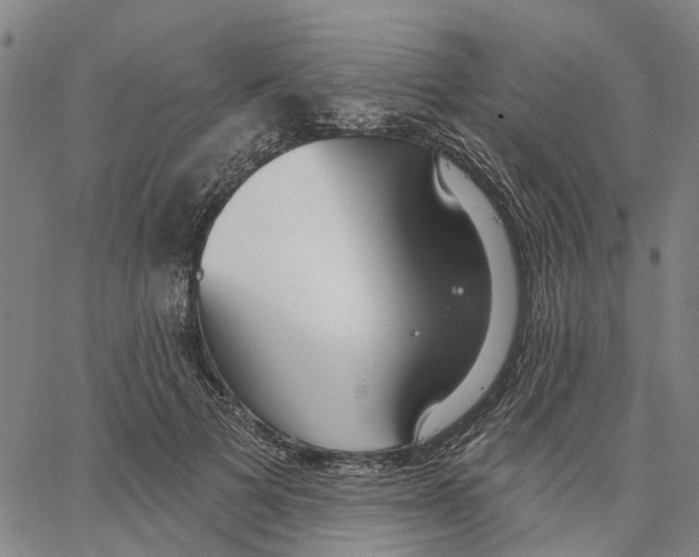 X0000062860697200602101627