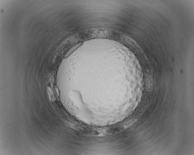 X0000062860701200602101627