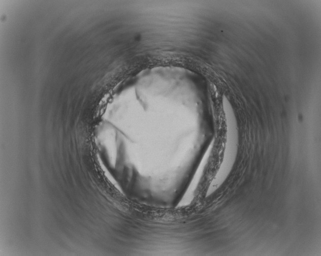 X0000062860708200602101627