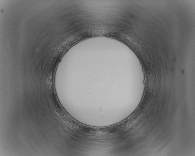 X0000062860737200602101626