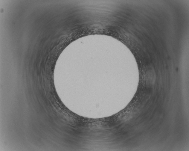 X0000062860769200602101626