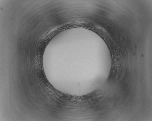 X0000062860773200602101626