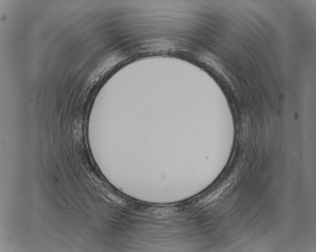 X0000062860778200602101626