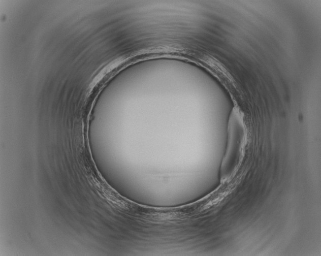 X0000062860781200602101625