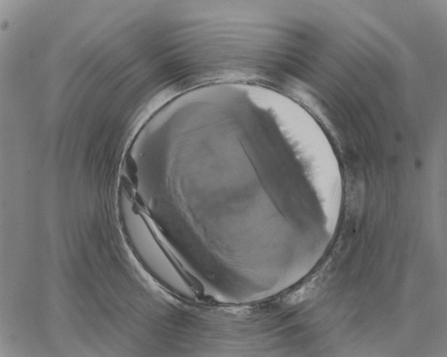 X0000062860810200602101625