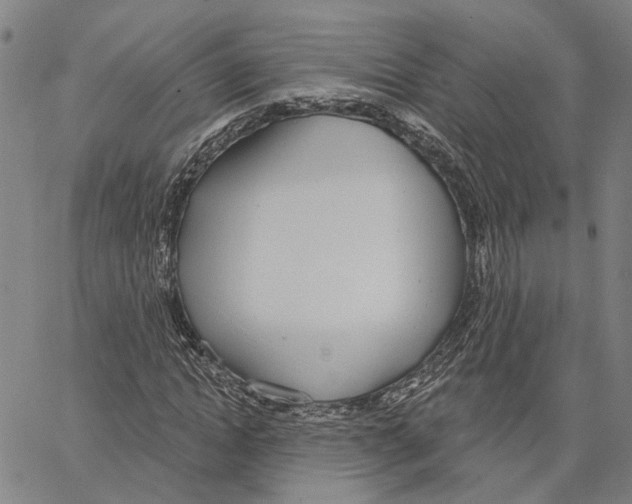 X0000062860822200602101624