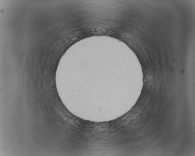 X0000062860865200602101624