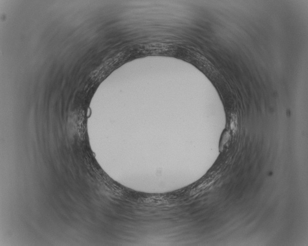 X0000062860867200602101624