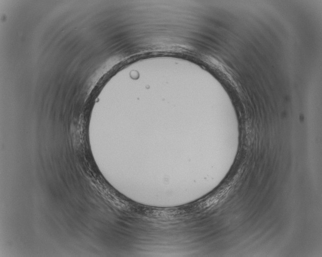 X0000062860875200602101624