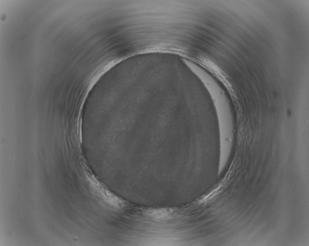 X0000062860892200602101624