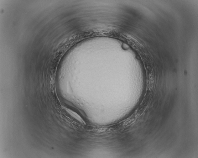 X0000062860917200602101623