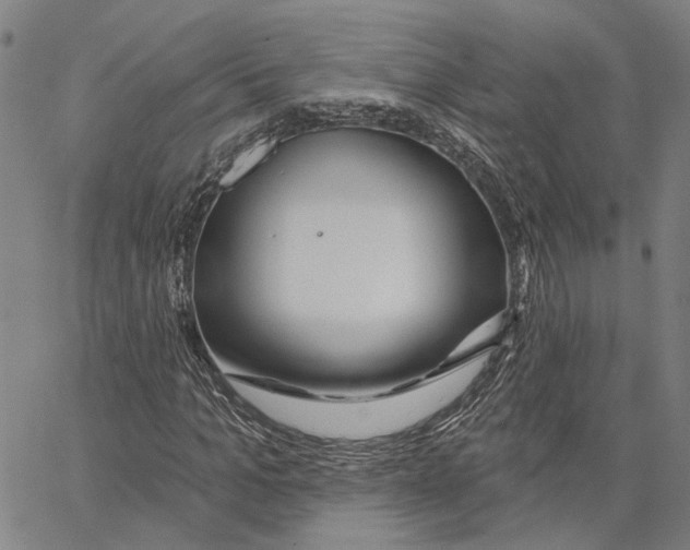 X0000062860965200602101622