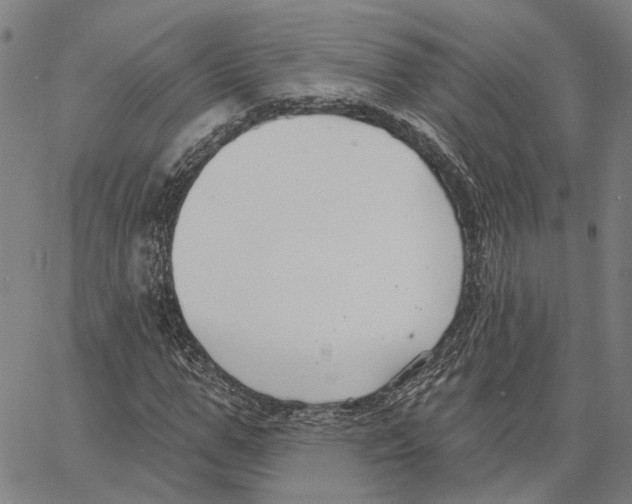 X0000062860967200602101622