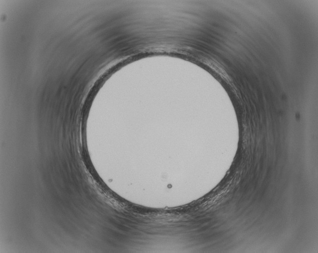 X0000062860984200602101622