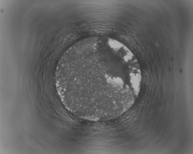 X0000062861009200602101621