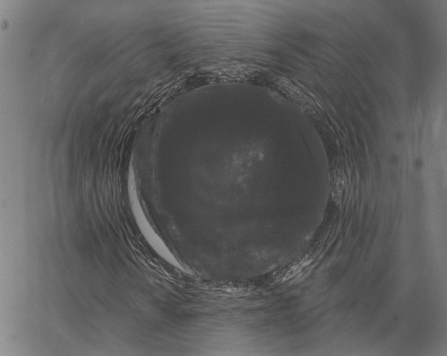 X0000062861010200602101621