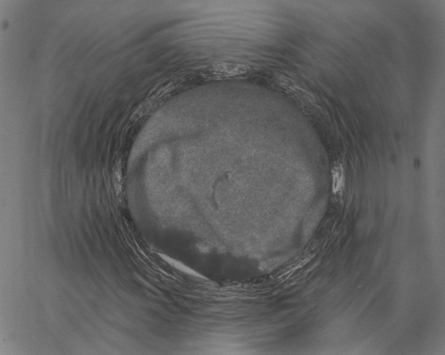 X0000062861011200602101621