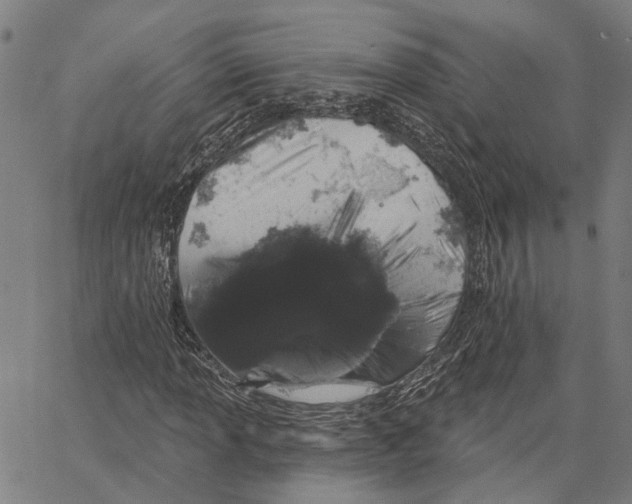 X0000062861013200602101621