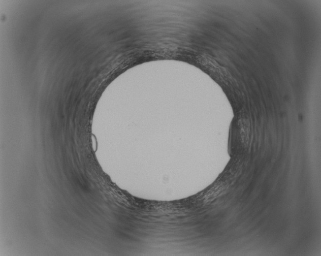 X0000062861057200602101621