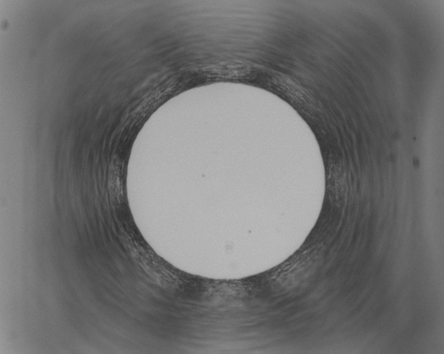 X0000062861058200602101621
