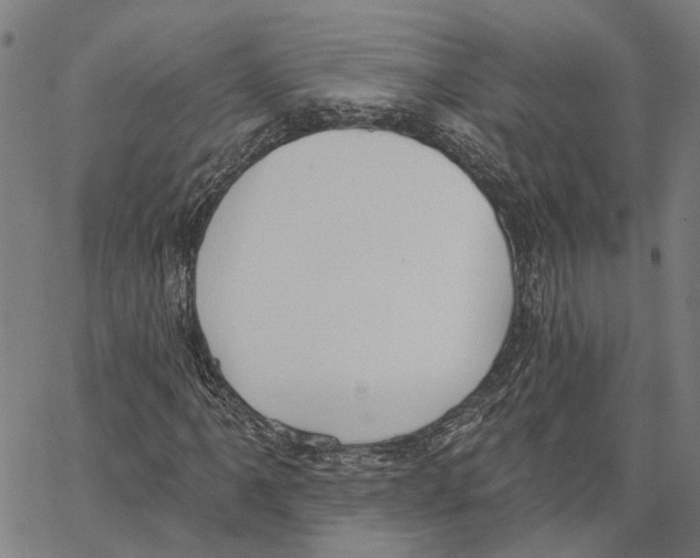 X0000062861061200602101621