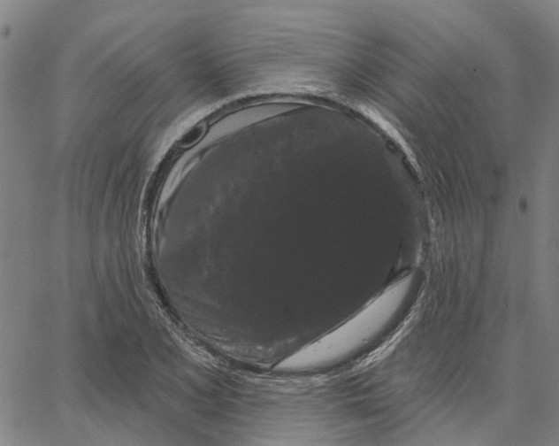 X0000062861077200602101621