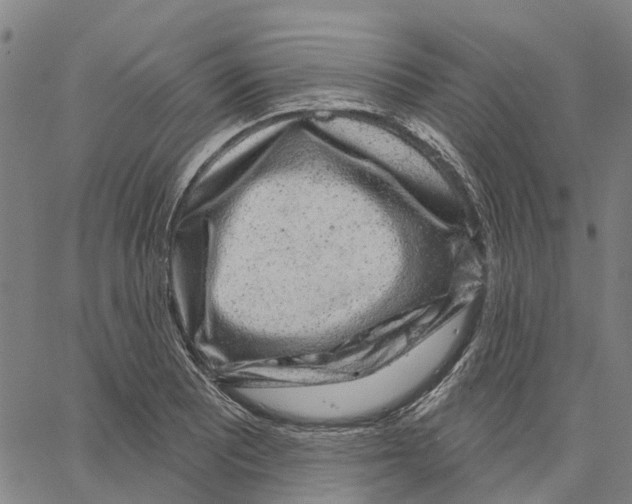 X0000062861081200602101621