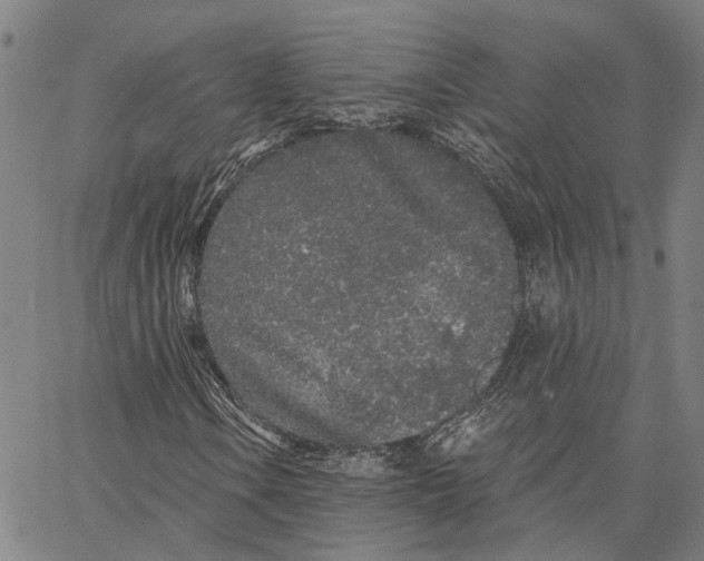 X0000062861106200602101619